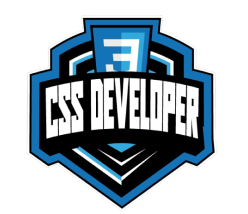 DIO CSS Track Logo